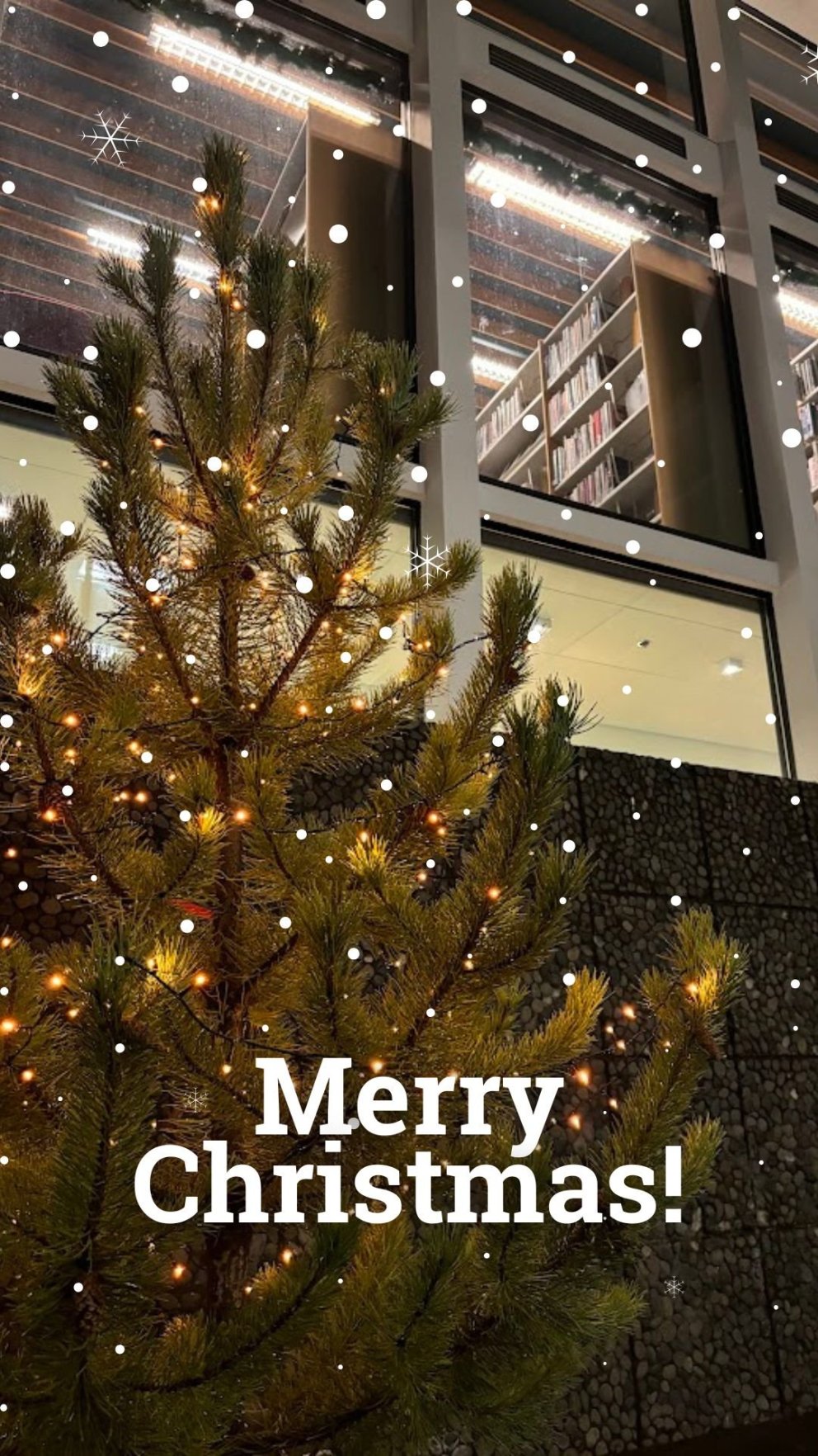 MERRY CHRISTMAS 2024!