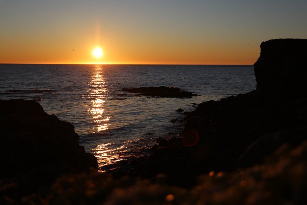 Mynd: María H. Tryggvadóttir