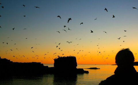 Ljósmynd: Valgerður Ósk Ómarsdóttir.