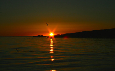 Mynd: Valgerður Ósk Ómarsdóttir