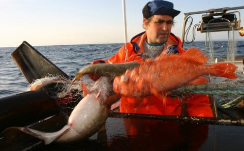 Mynd: Friðþjófur Helgason.