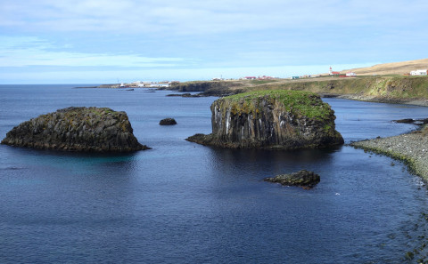 Kletturinn Borgin í Grímsey.
Mynd: María H. Tryggvadóttir