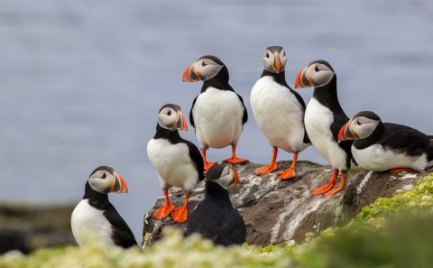 Mynd: María H. Tryggvadóttir