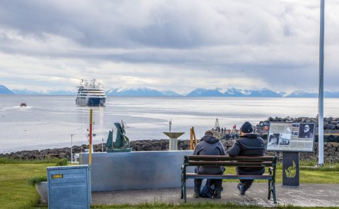 Mynd: Bjarki Freyr Brynjólfsson