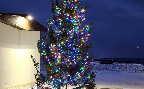 Mynd: Anna María Sigvaldadóttir