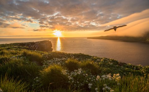Mynd: Gyða Henningsdóttir