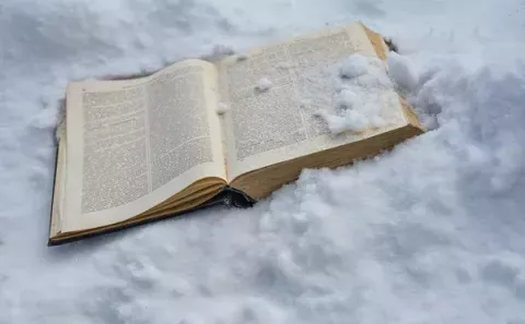 Books, snow and cold