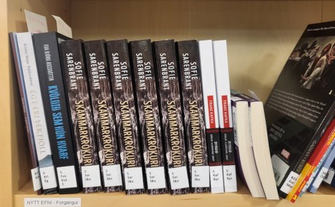 Process of library holdings