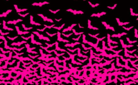 Vampýrur í blíðu og stríðu