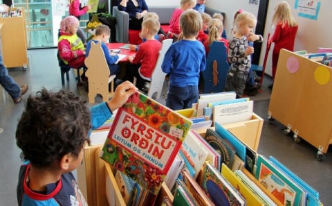 Lestur, mál og orðaforði