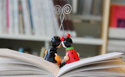 Lestur er bestur :-)