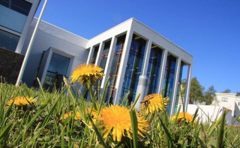 Sumarlestur er bestur!