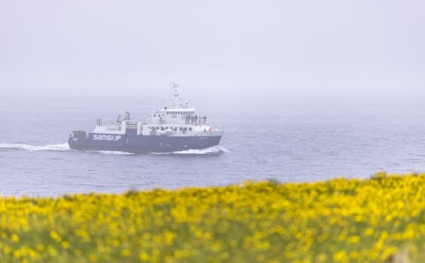 Mynd: María Helena Tryggvadóttir