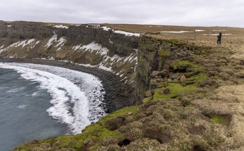 Mynd: Básavíkin í Grímsey