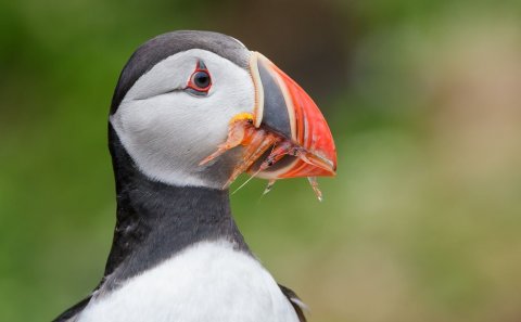 Photo: Michael Milicia