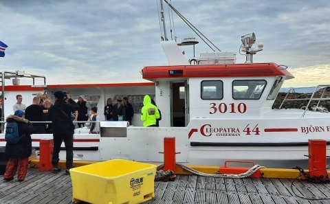 Mynd: Hilmar Páll Jóhannesson