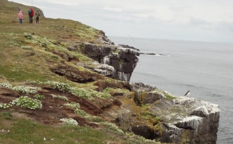 Hiking along the east coast of Grímsey