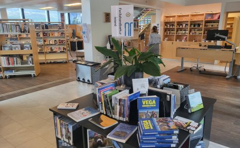 Ferðahandbækur - Ísland