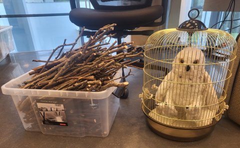 (svar) Föstudagsþraut 2024 nr. 28 - Potterdagurinn og fimm breytingar!