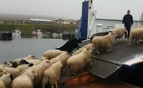 Mynd: Halla Ingólfsdóttir