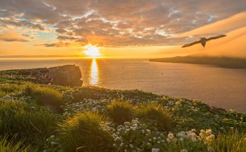 Styrktartónleikar - Sól rís í Grímsey