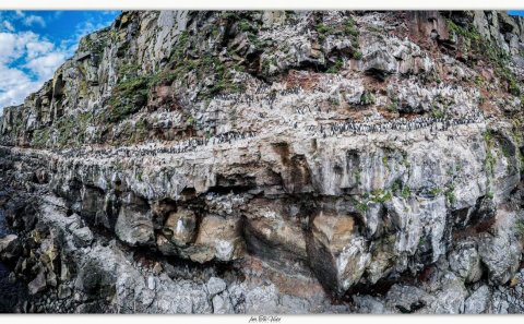 Heimsókn til Grímseyjar