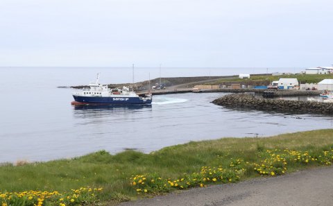 Mynd: María H. Tryggvadóttir