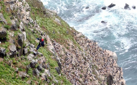 Góður Grímseyjardagur