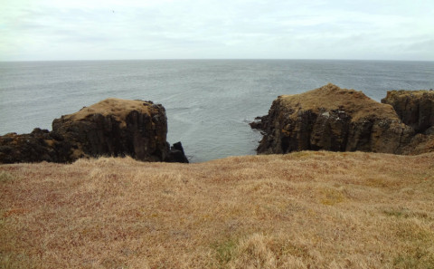 The Burial Site of the First Settlers