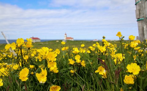 Mynd: María H. Tryggvadóttir