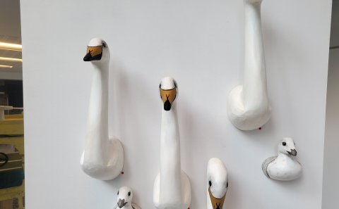 Sýning Ingibjargar stendur út júlí-mánuð!