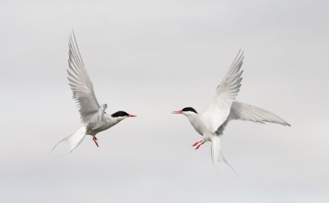 Mynd: Eyþór Ingi Jónsson