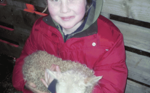 Helga Hrund Þórsdóttir með annað lambið í fanginu.