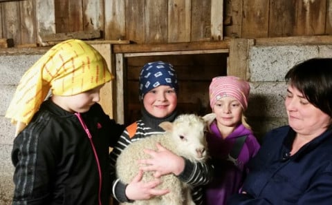 Mynd: Jóhannes Henningsson