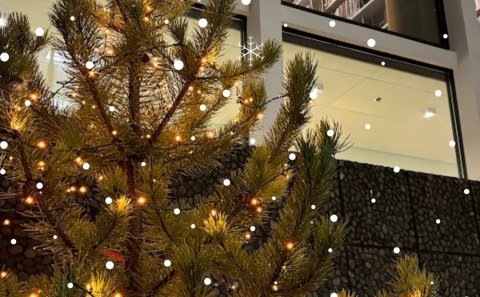 MERRY CHRISTMAS 2024!