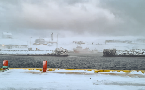 Mynd: Anna María Sigvaldadóttir