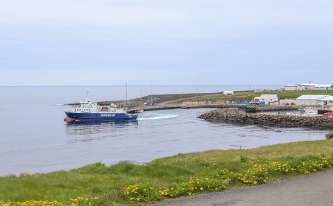 Mynd: María H. Tryggvadóttir