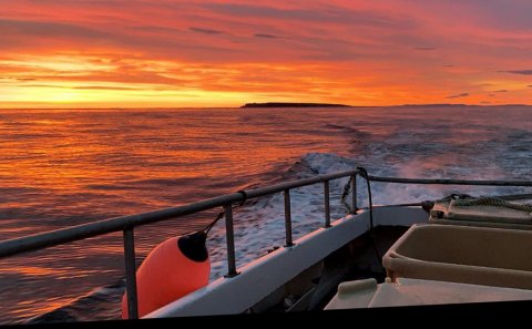 Mynd: Bjarni Reykjalín