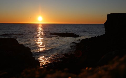 Mynd: María H. Tryggvadóttir