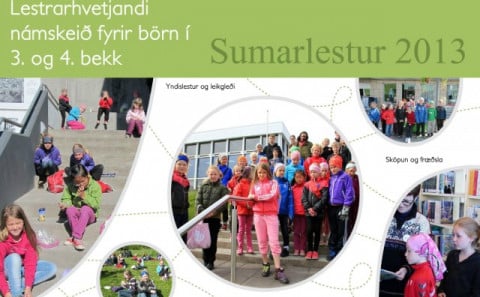 Sumarlestur 2013
